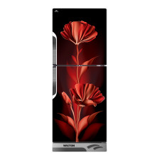 Walton WFE-3B0-GDEL-XX Refrigerator 