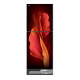 Walton WFA-2D4-GDXX-XX Refrigerator 