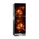 Walton WFB-2B6-GDSH-XX Refrigerator 