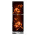 Walton WFB-2B6-GDSH-XX Refrigerator 