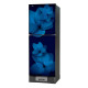 Walton WFB-2B6-GDXX-XX Refrigerator