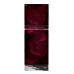 Walton WFD-1D4-GDEL-XX Refrigerator 